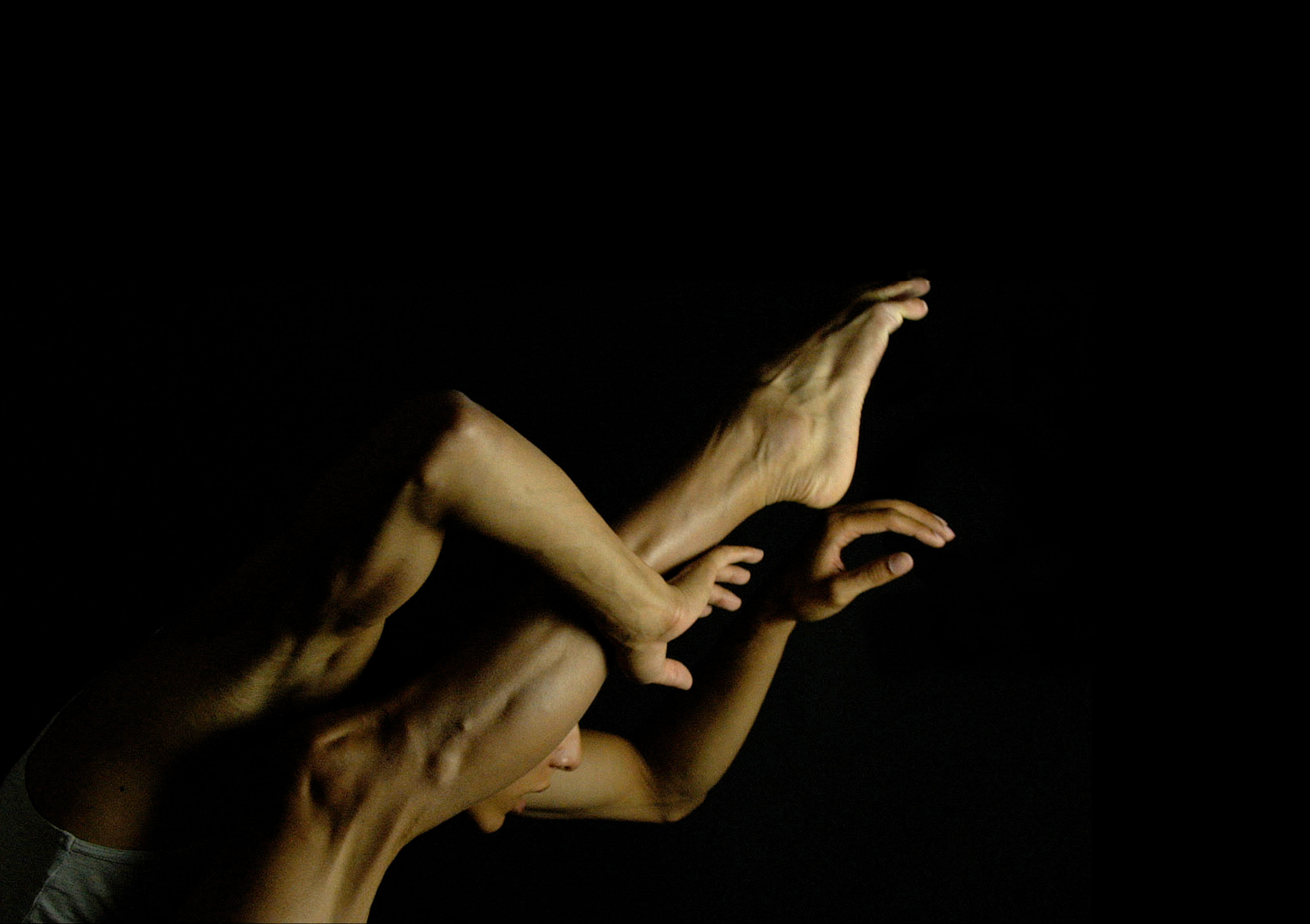 DANCE ON SCREEN FESTIVAL | 9. & 11. November 2018 | Rechbauerkino