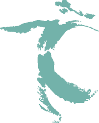 Int. Bühnenwerkstatt & Int. Tanztheaterfestival